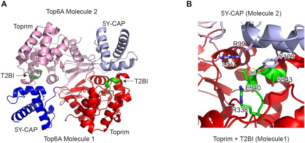 Figure 4.