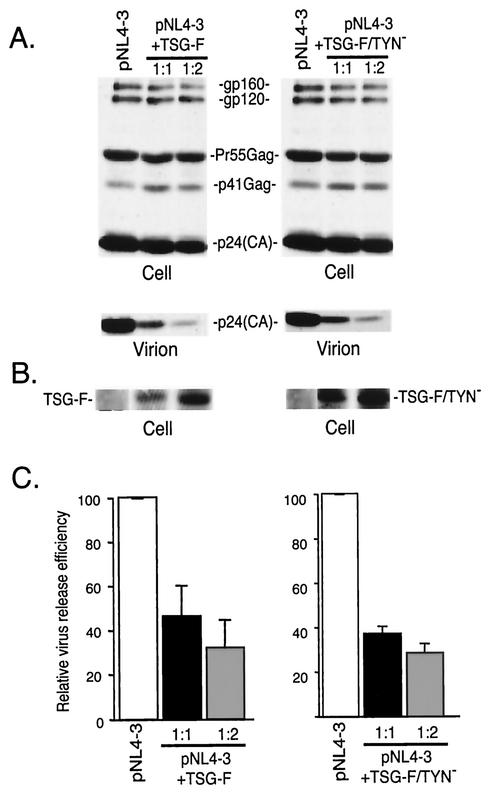 FIG. 4.