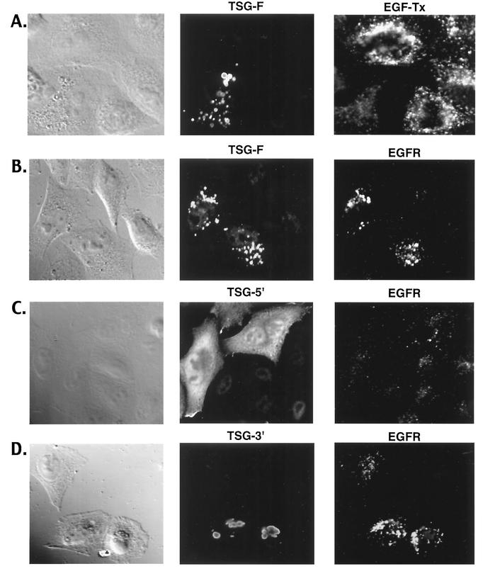 FIG. 9.