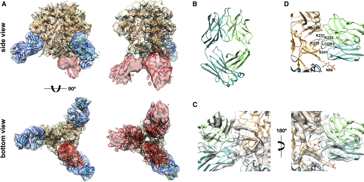 Figure 5