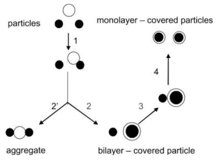 Figure 17