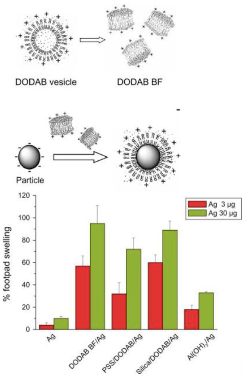 Figure 20