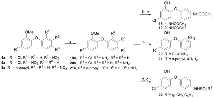 Scheme 2