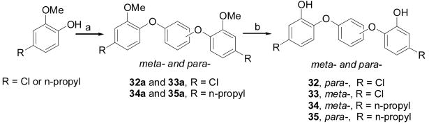 Scheme 5