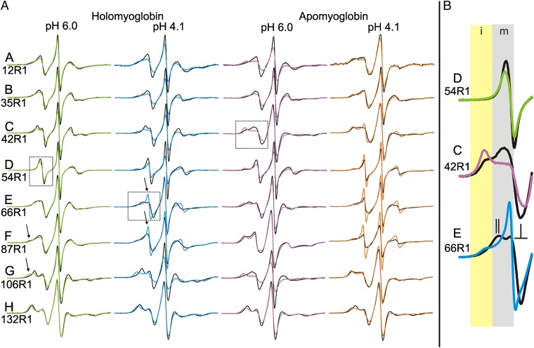 Fig. 4.