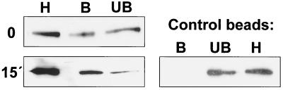 FIG. 8.