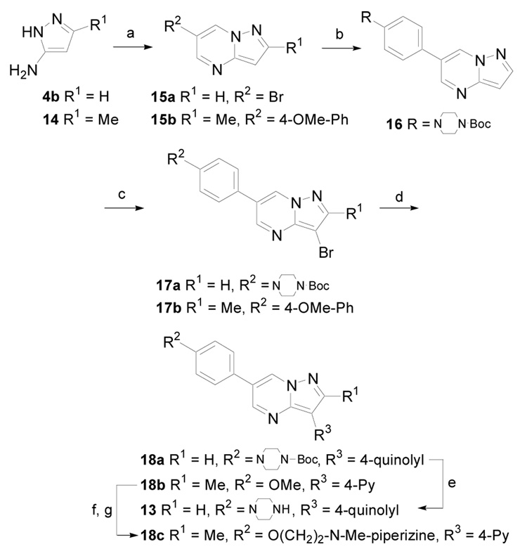 Scheme 3