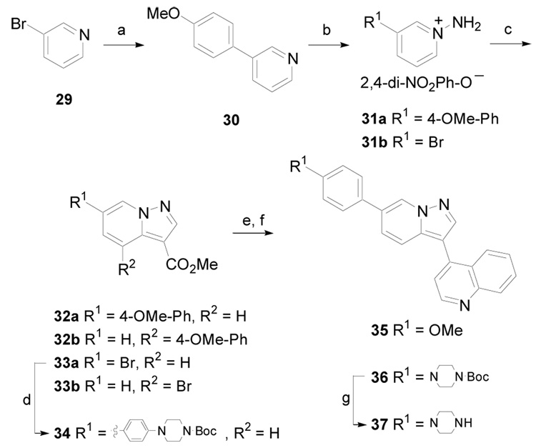 Scheme 5