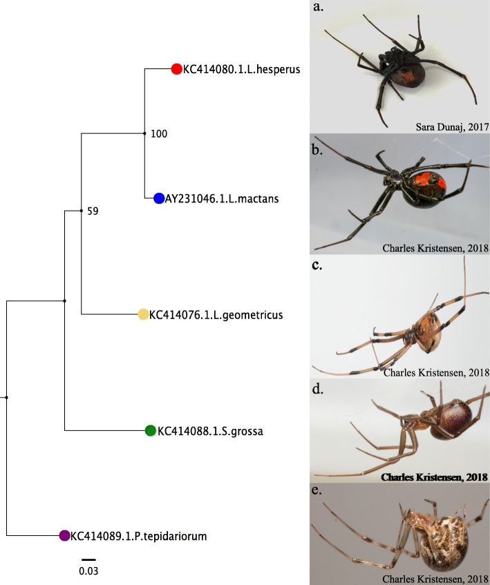 Fig. 2