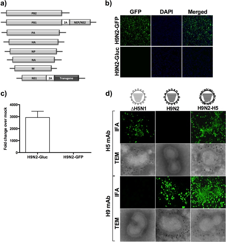 Fig 1