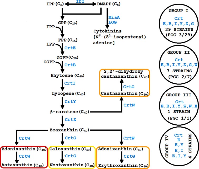 Fig. 4.