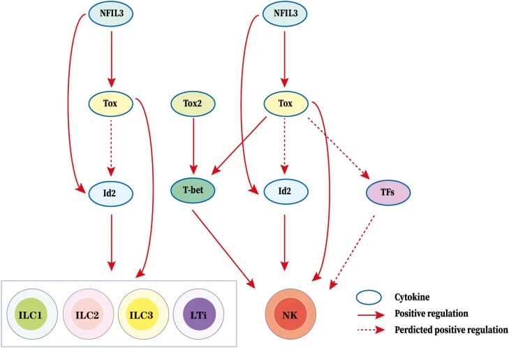 Figure 2: