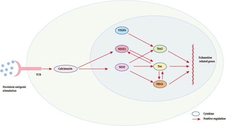 Figure 4: