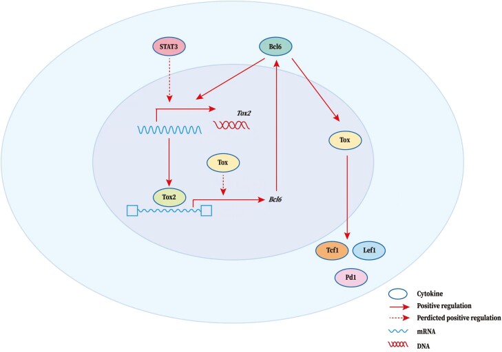 Figure 3: