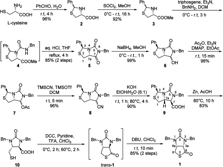 Scheme 2