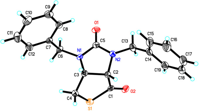 Fig. 8