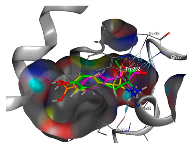 Figure 2