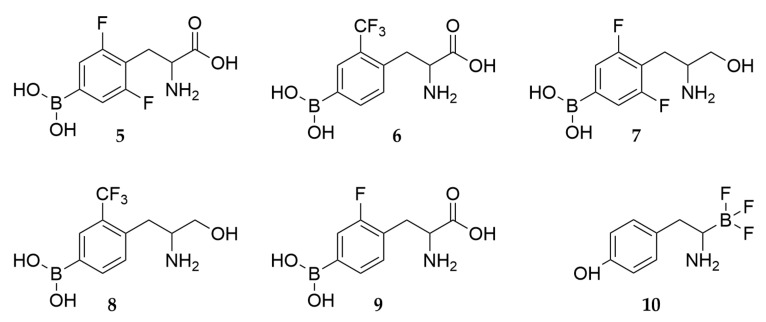 Scheme 3