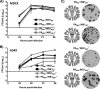 FIG 7