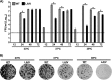 FIG 2