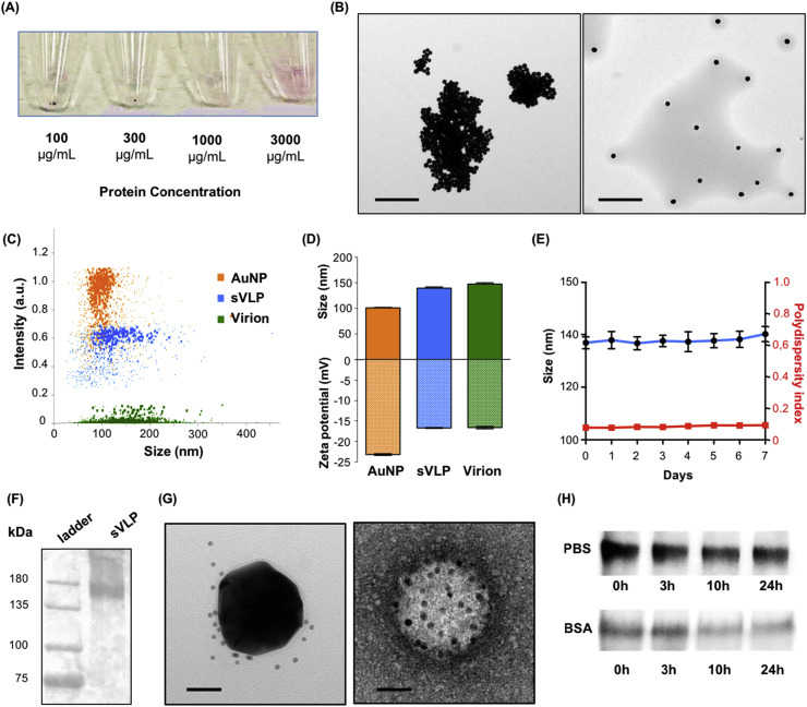 Fig. 2