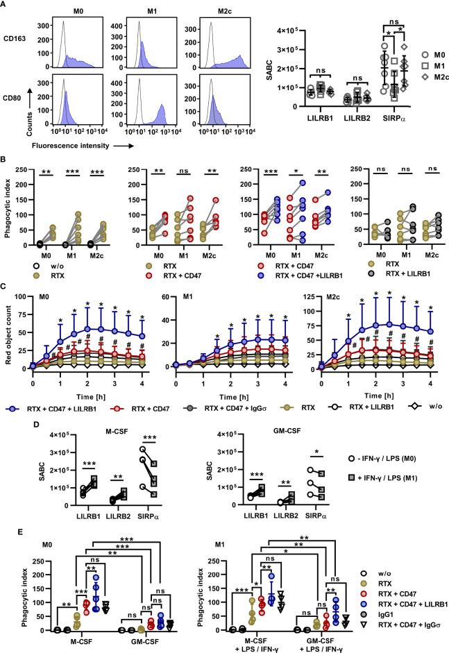 Figure 4