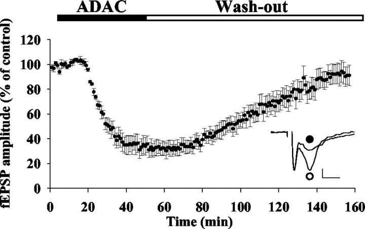 Fig. 10.