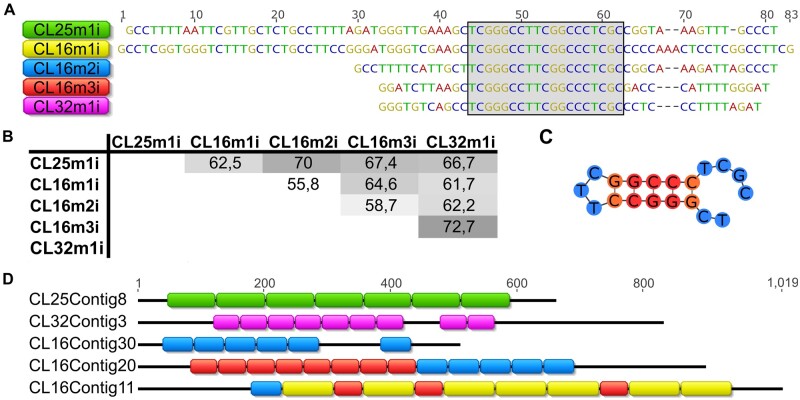 Fig. 6.