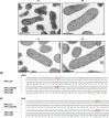 Fig 8