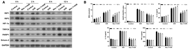 Figure 2