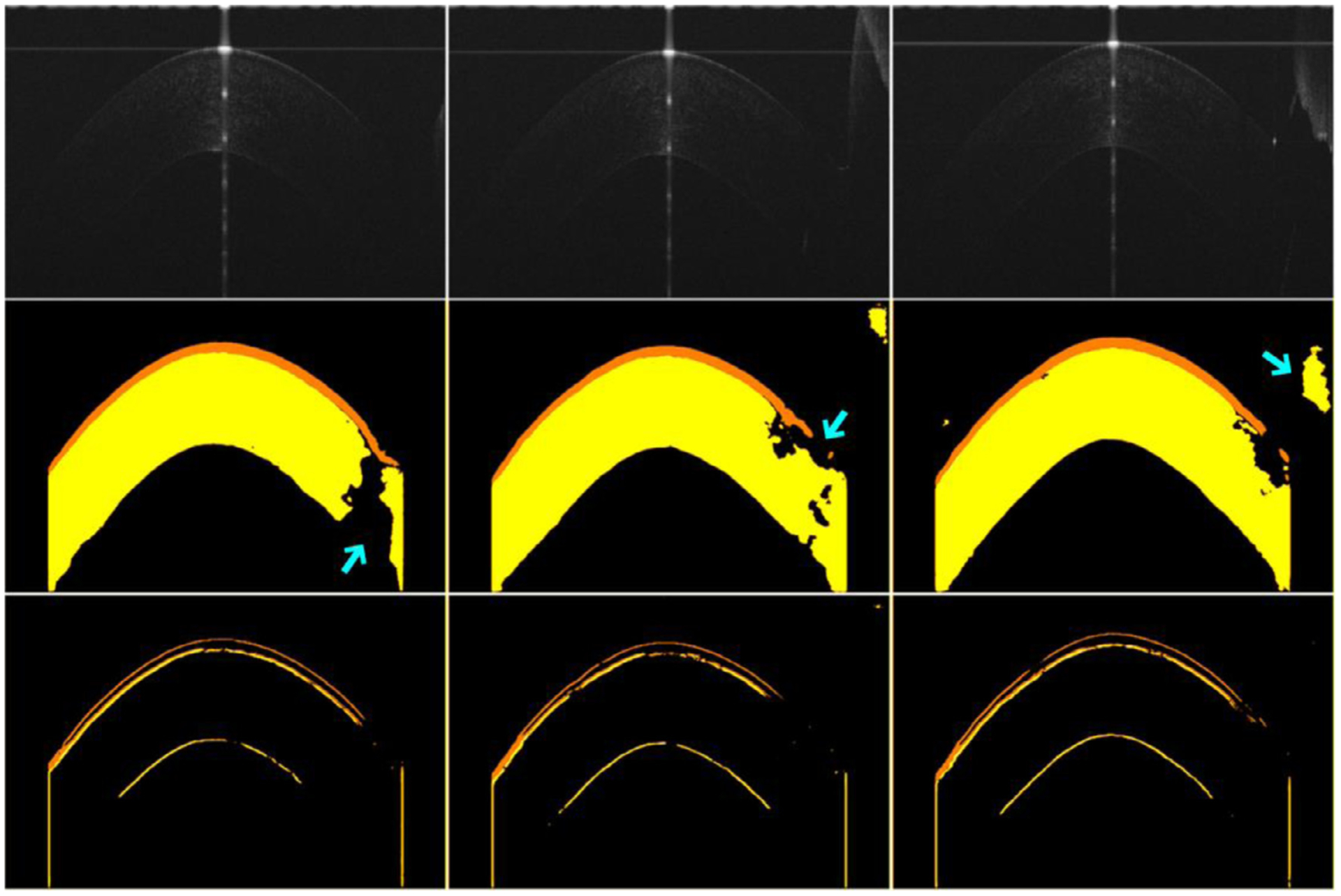 Fig. 10.