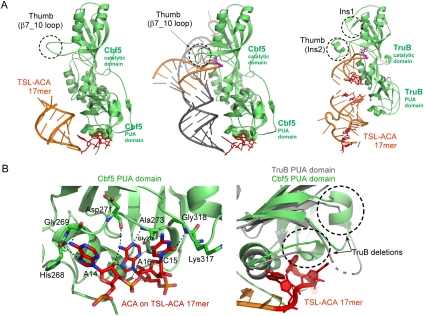 FIGURE 4.