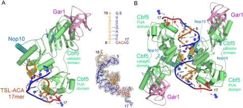 FIGURE 3.