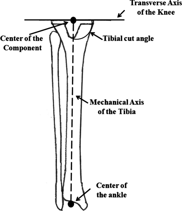 Fig. 3