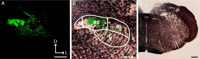 Figure 10.