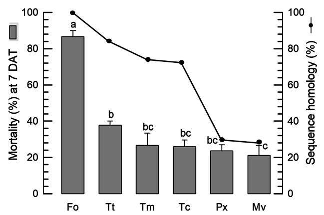 Fig. 7