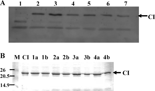 FIG. 5.