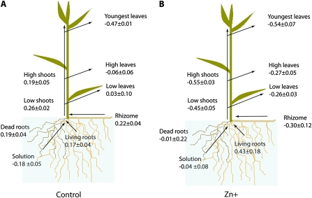 Fig. 1.