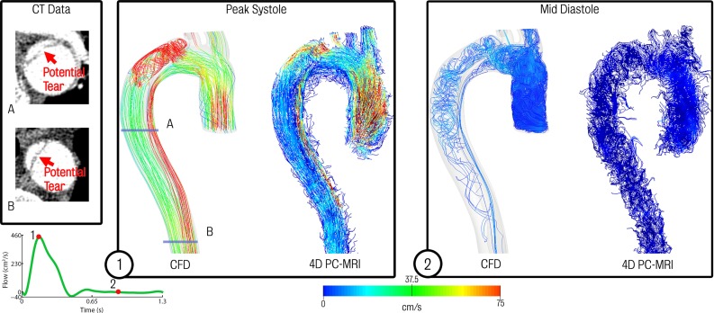 Fig. 10