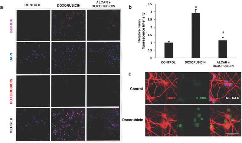 Fig. 7: