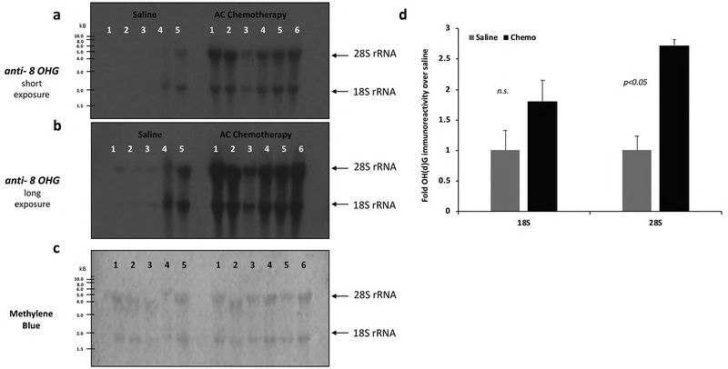 Fig. 5: