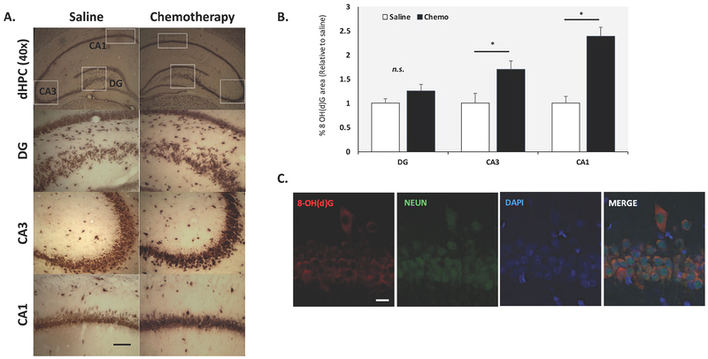 Fig. 6: