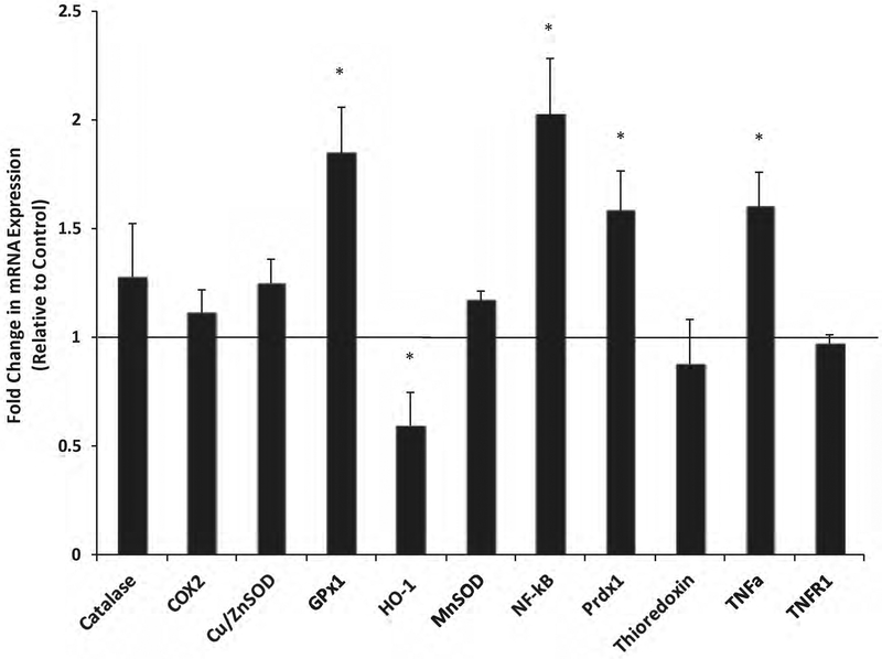 Fig. 2: