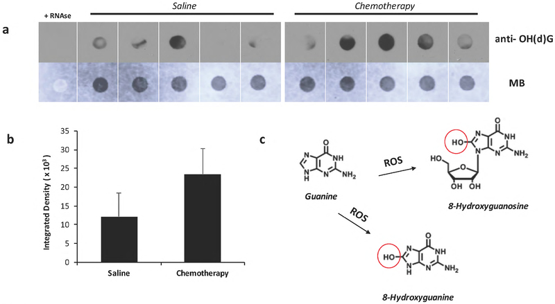 Fig. 4: