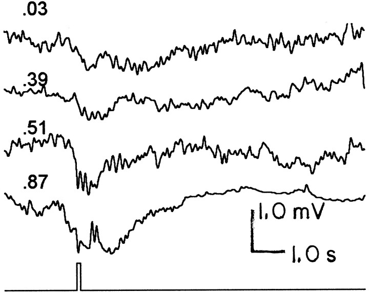 Fig. 7.