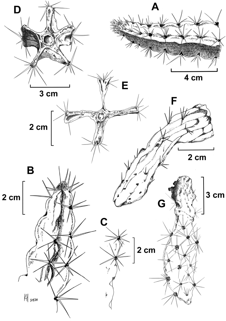 Figure 3.