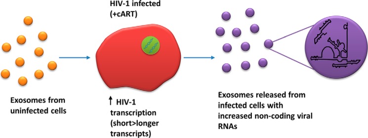 Figure 15.