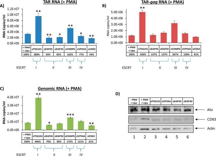 Figure 13.