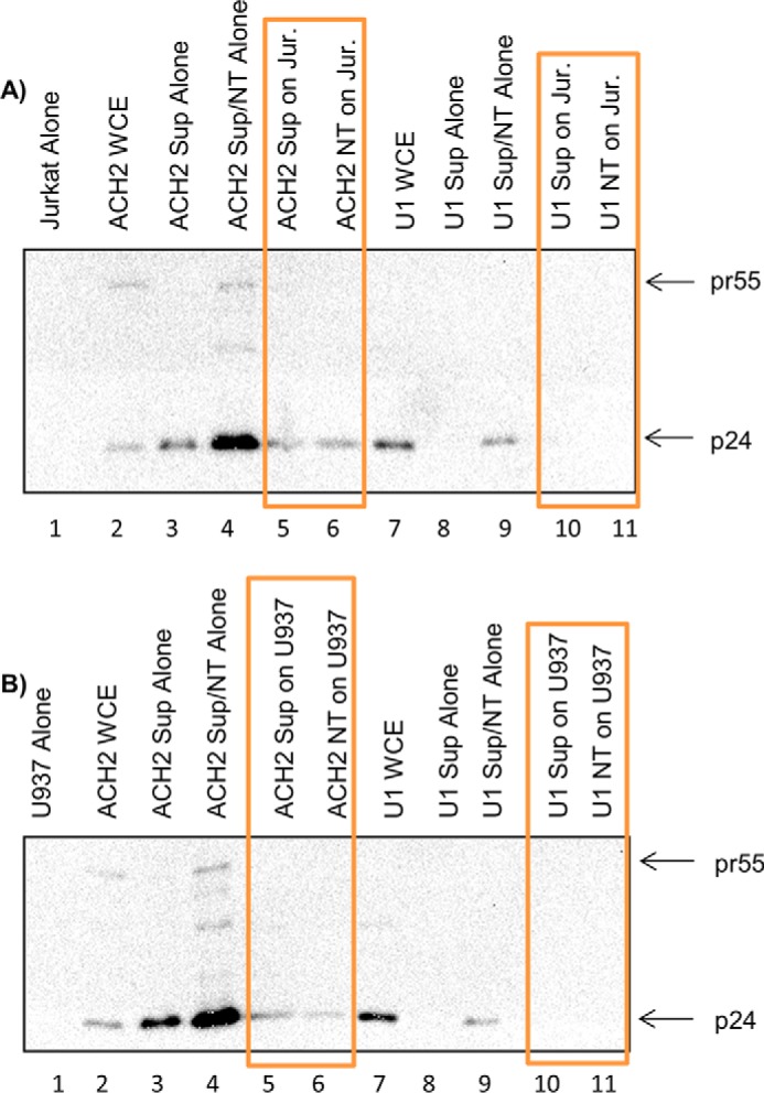 Figure 10.