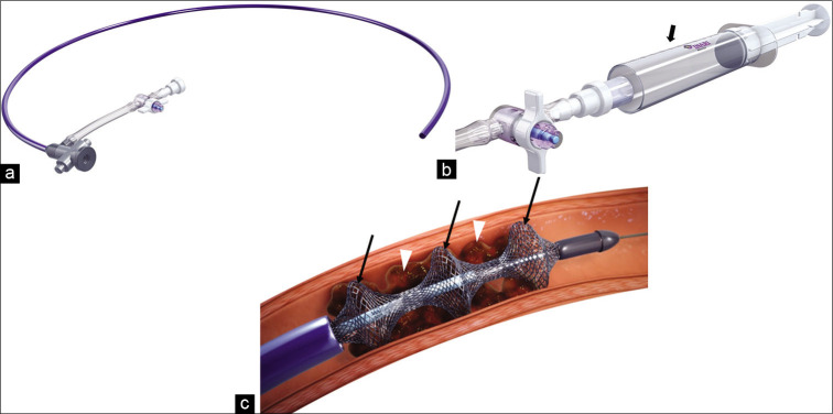 Figure 6: